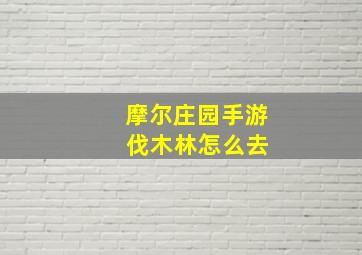 摩尔庄园手游 伐木林怎么去